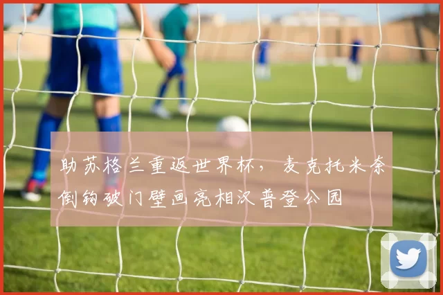 助苏格兰重返世界杯，麦克托米奈倒钩破门壁画亮相汉普登公园