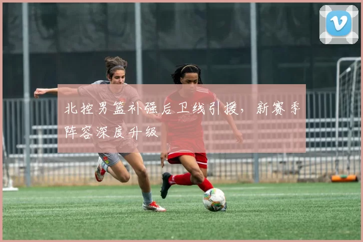 北控男篮补强后卫线引援，新赛季阵容深度升级