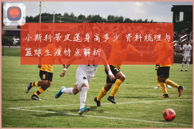 小斯科蒂皮蓬身高多少 资料梳理与篮球生涯特点解析