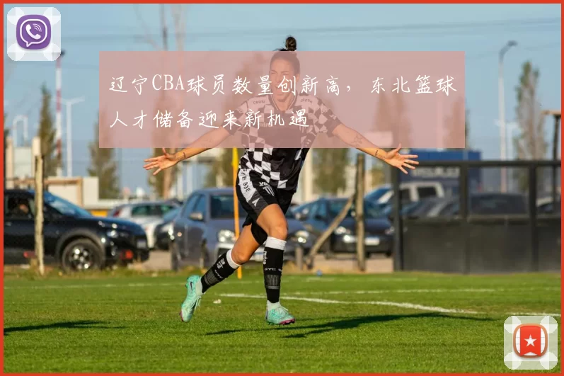 辽宁CBA球员数量创新高，东北篮球人才储备迎来新机遇