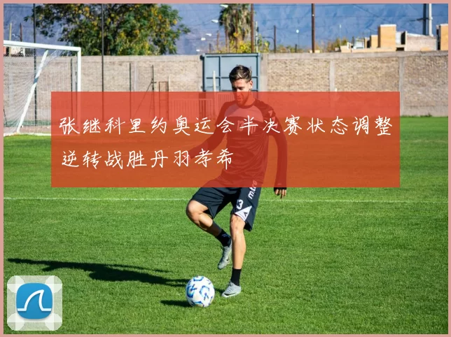 张继科里约奥运会半决赛状态调整逆转战胜丹羽孝希