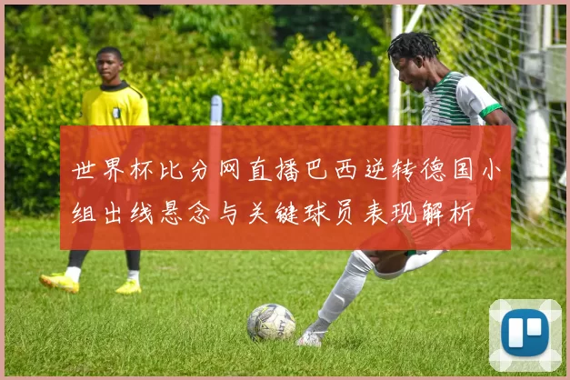 世界杯比分网直播巴西逆转德国小组出线悬念与关键球员表现解析
