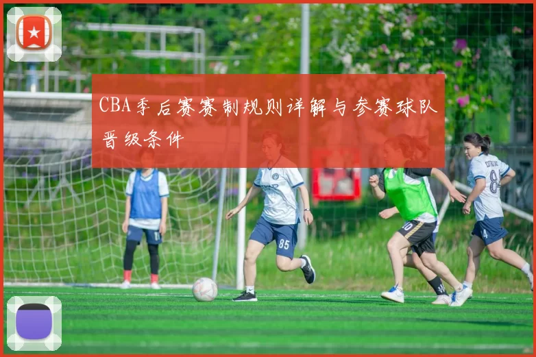 CBA季后赛赛制规则详解与参赛球队晋级条件