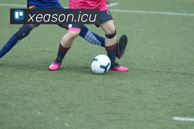 九游平台 - 九游(中国)一站式服务平台发展历程